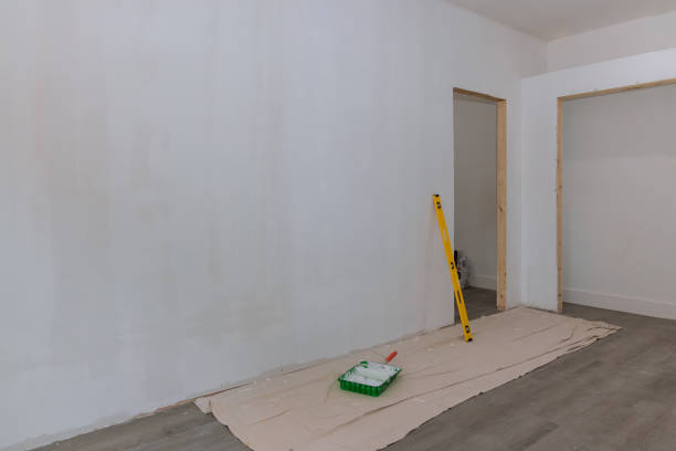 Best Drywall Removal and Disposal  in Columbus, MN